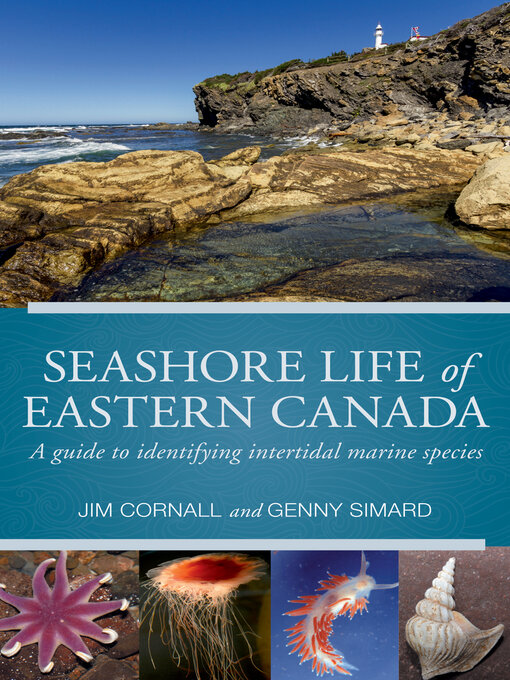 Title details for Seashore Life of Eastern Canada by Jim Cornall - Available